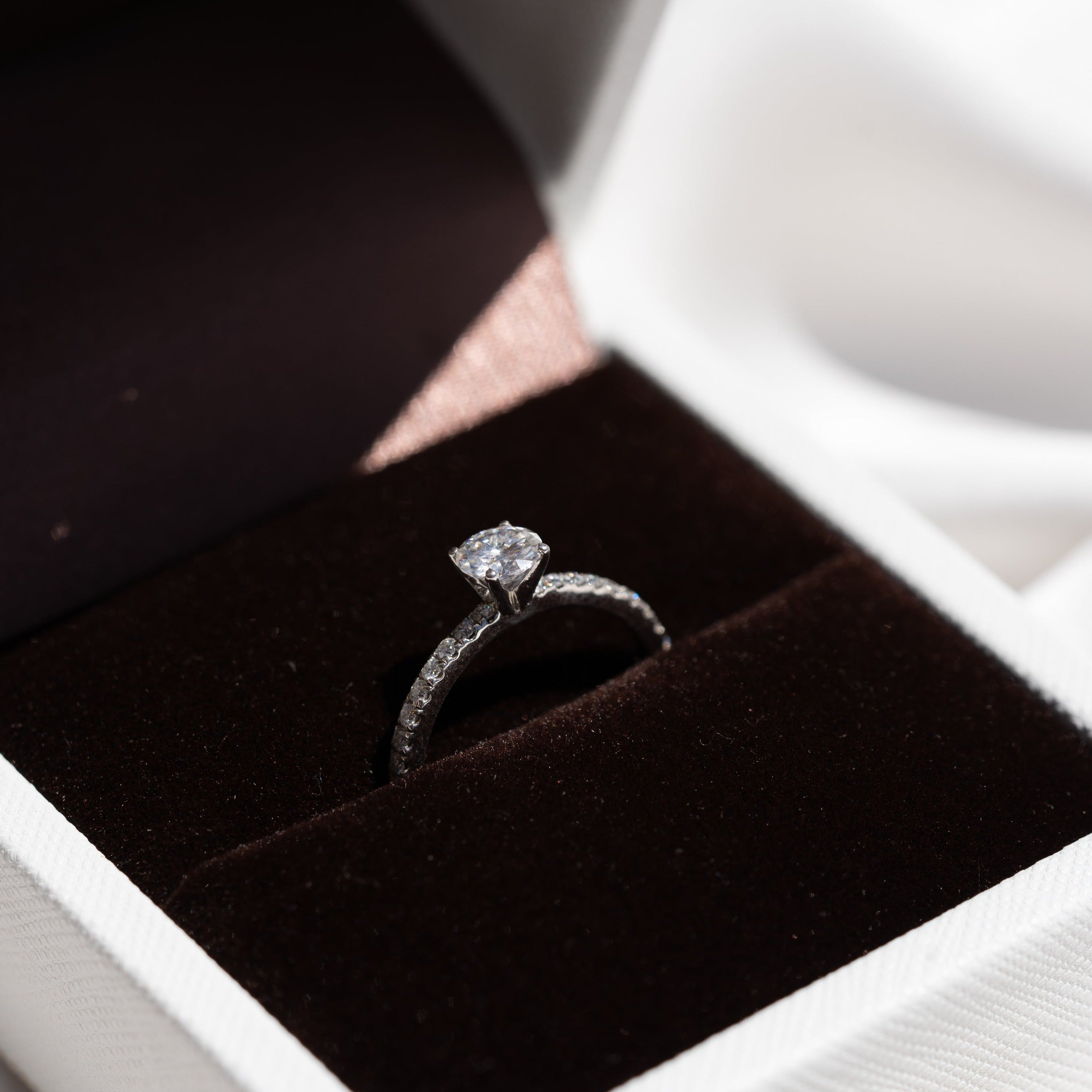 Solitario Clásico con Pavé de Diamantes