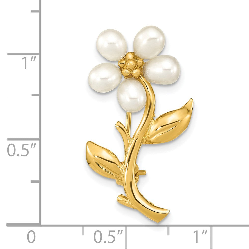 PIN181--8.jpg