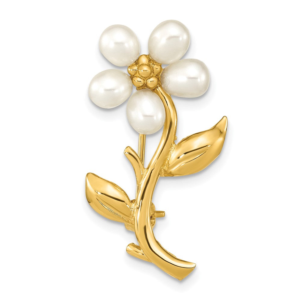 PIN181.jpg