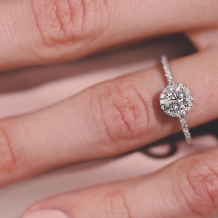 Anillo Halo Clásico con Pave de Diamantes