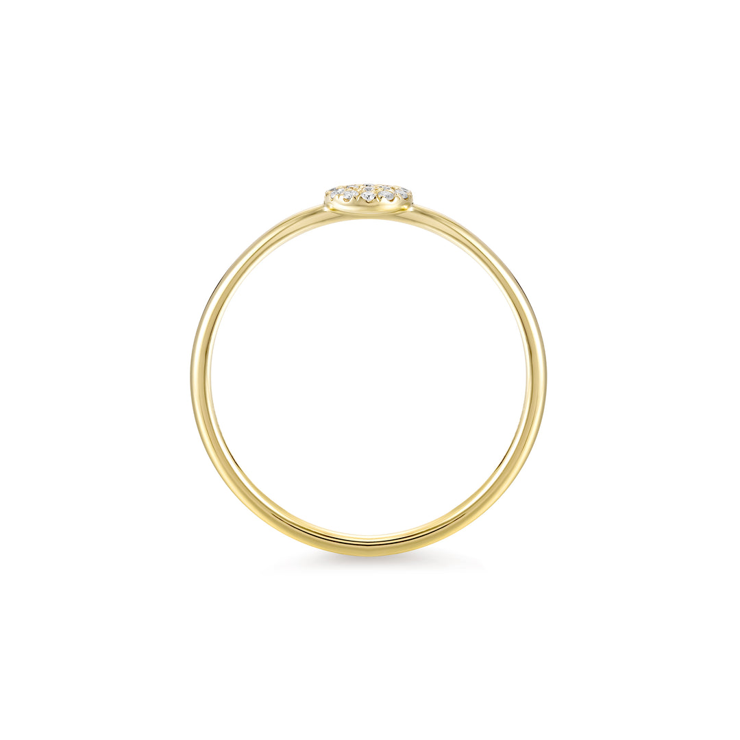 Anillo Pavé Diamantes Circular